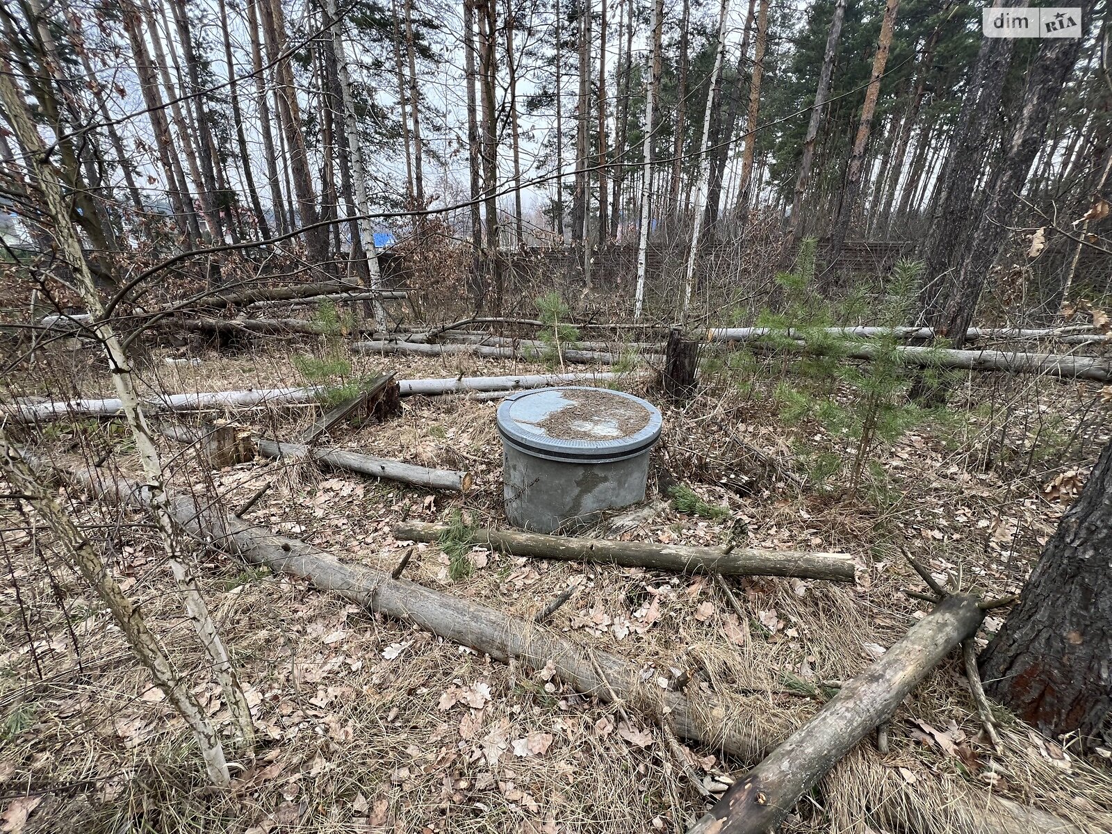 Земельна ділянка під житлову забудову в Пряжеві, площа 13.5 сотки фото 1