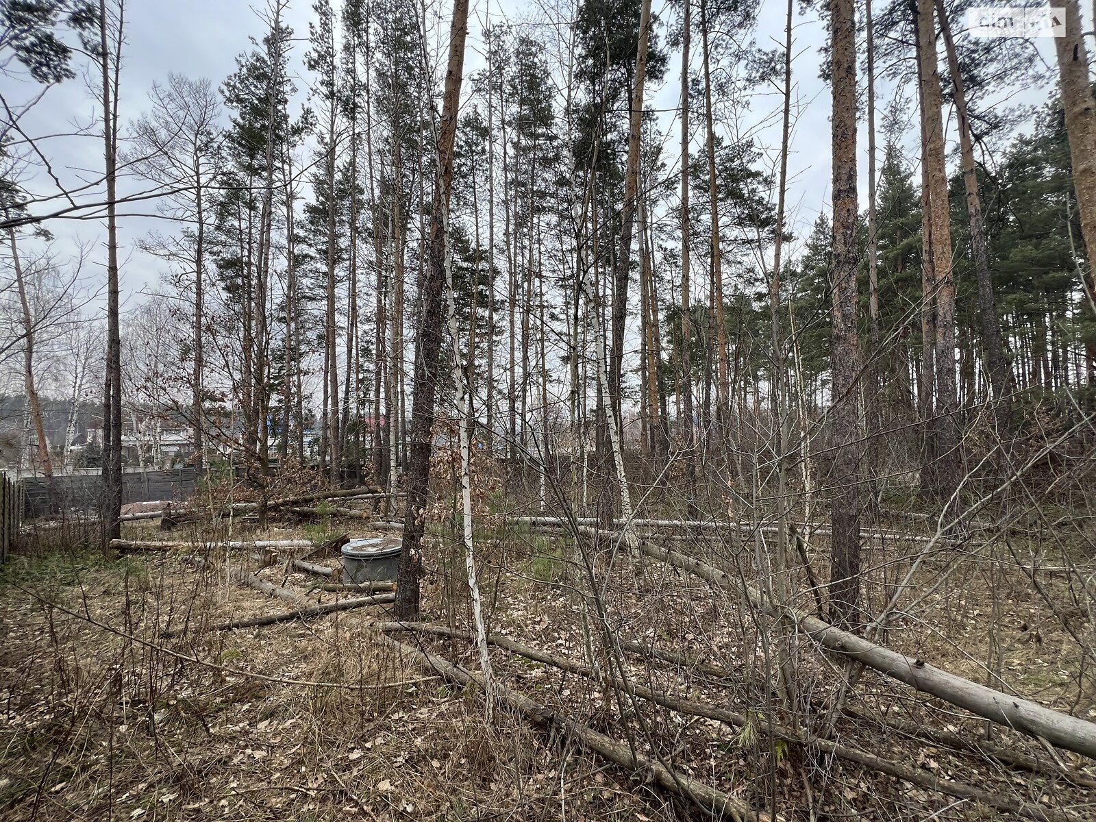 Земельна ділянка під житлову забудову в Пряжеві, площа 13.5 сотки фото 1