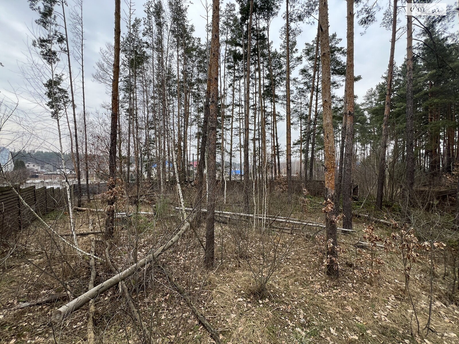 Земельна ділянка під житлову забудову в Пряжеві, площа 13.5 сотки фото 1