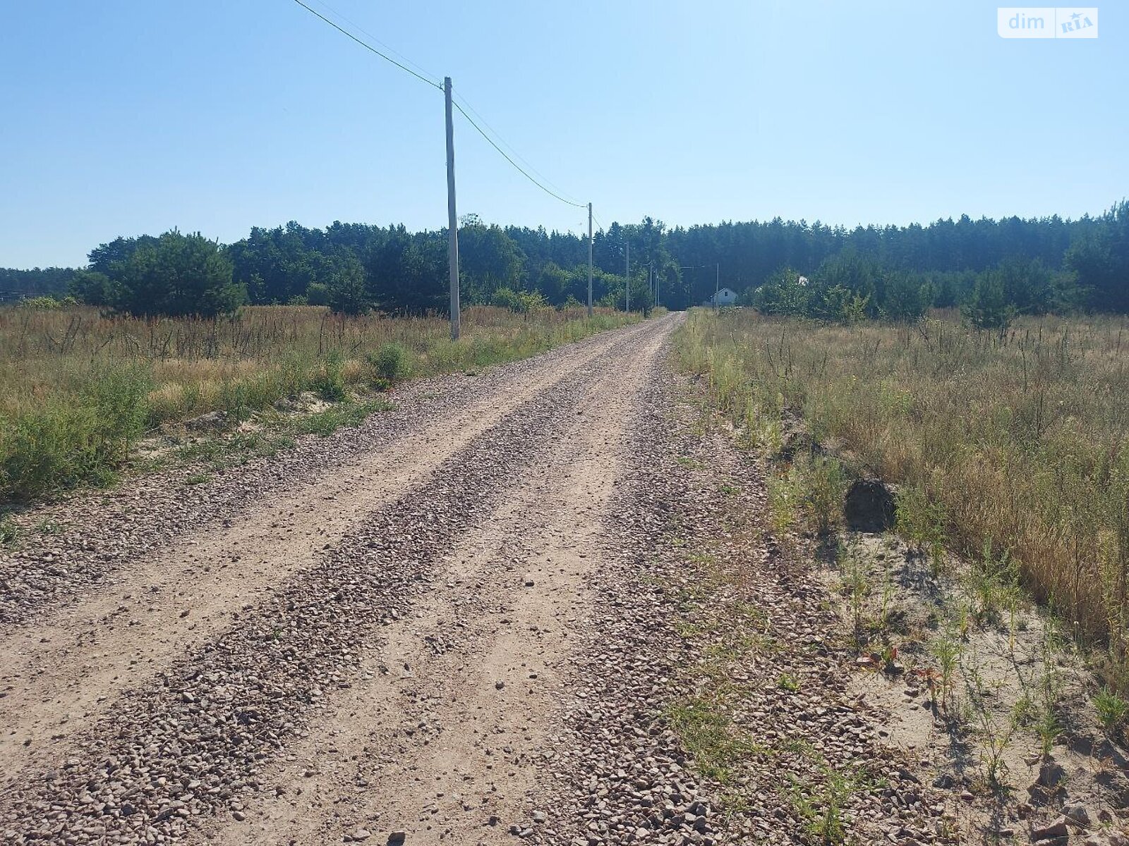 Земельна ділянка під житлову забудову в Пряжеві, площа 10 соток фото 1