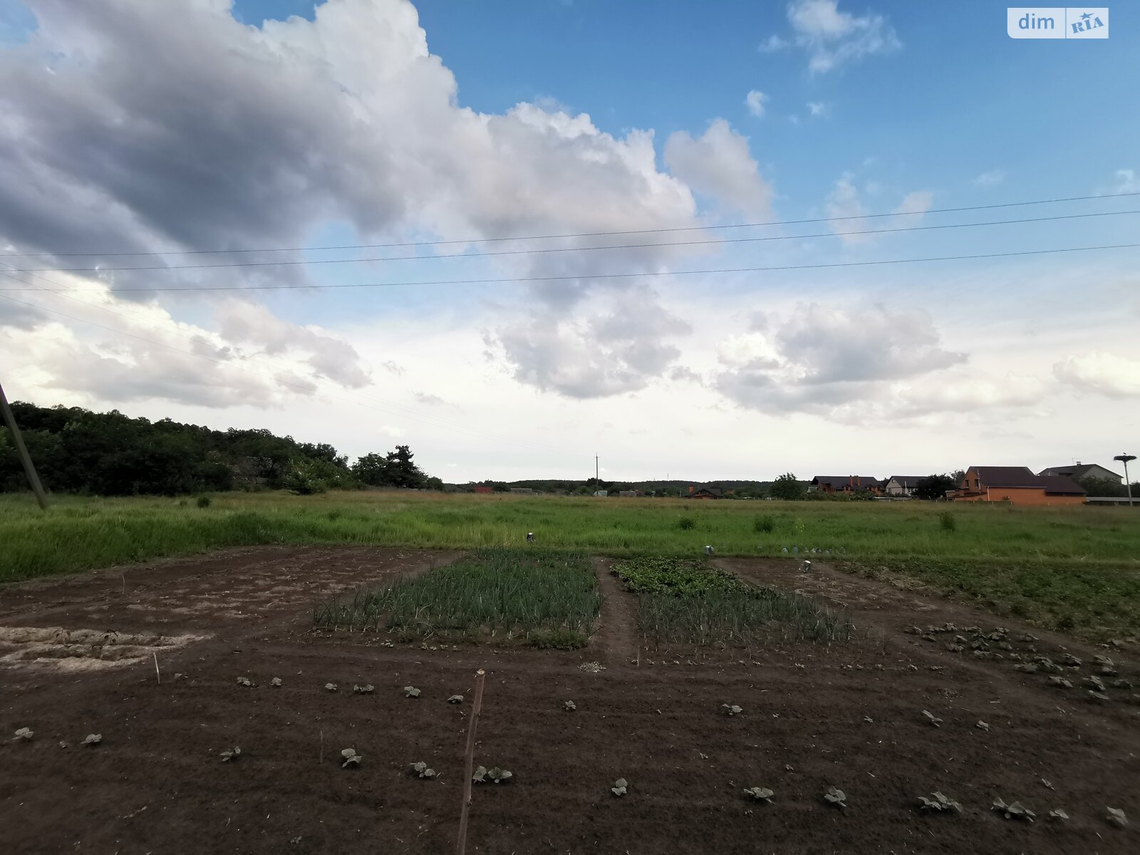 Земельна ділянка під житлову забудову в Пухівці, площа 0.1726 Га фото 1 Земельна ділянка під житлову забудову в Пухівці, площа 0.1726 Га фото 1