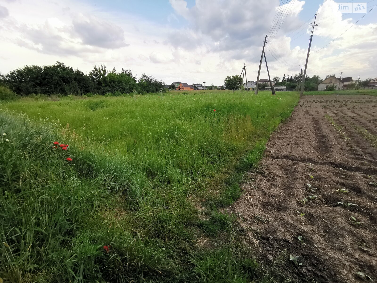 Земельна ділянка під житлову забудову в Пухівці, площа 0.1726 Га фото 1 Земельна ділянка під житлову забудову в Пухівці, площа 0.1726 Га фото 1