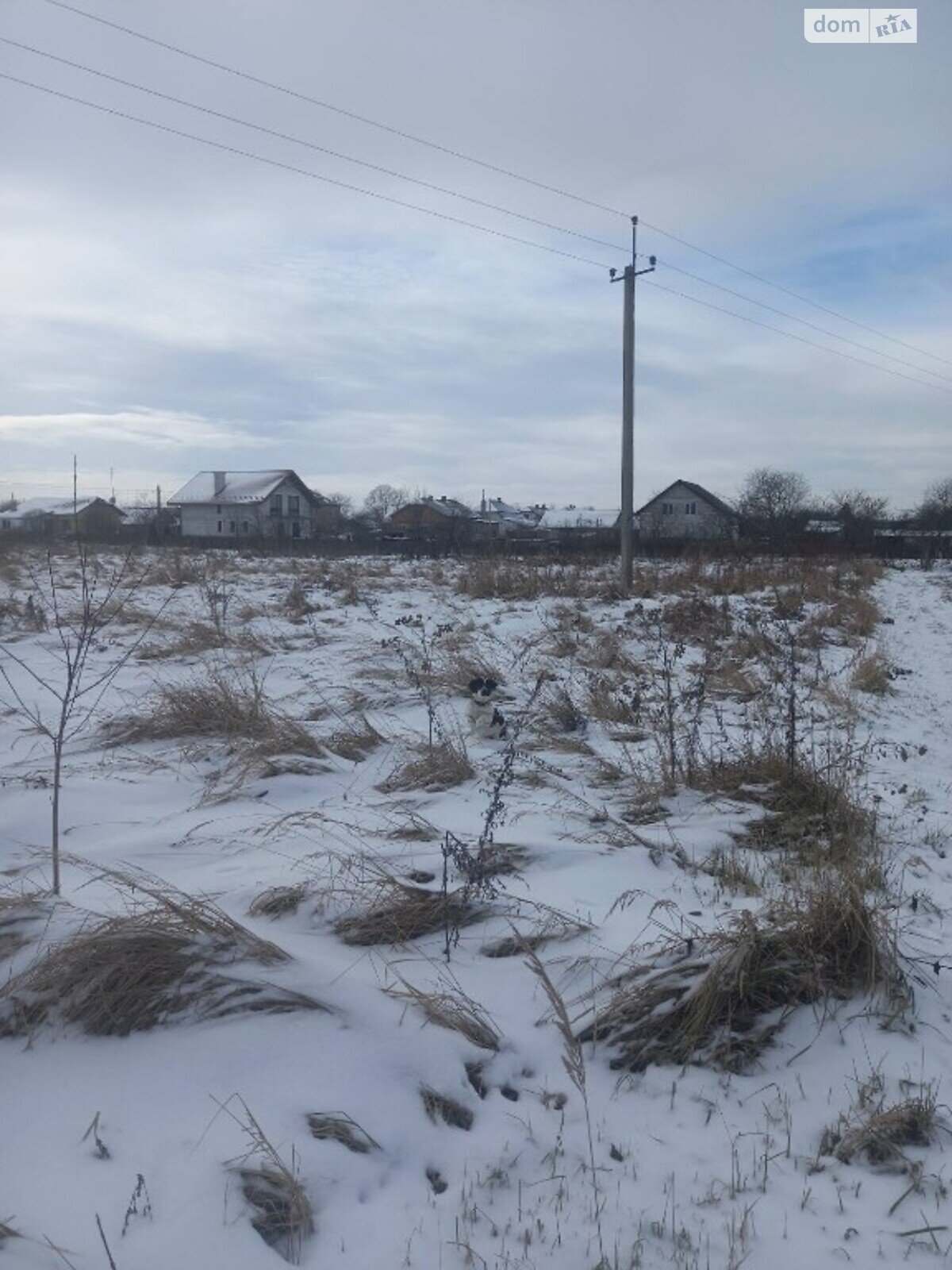 Земельна ділянка під житлову забудову в Підберізцях, площа 19 соток фото 1