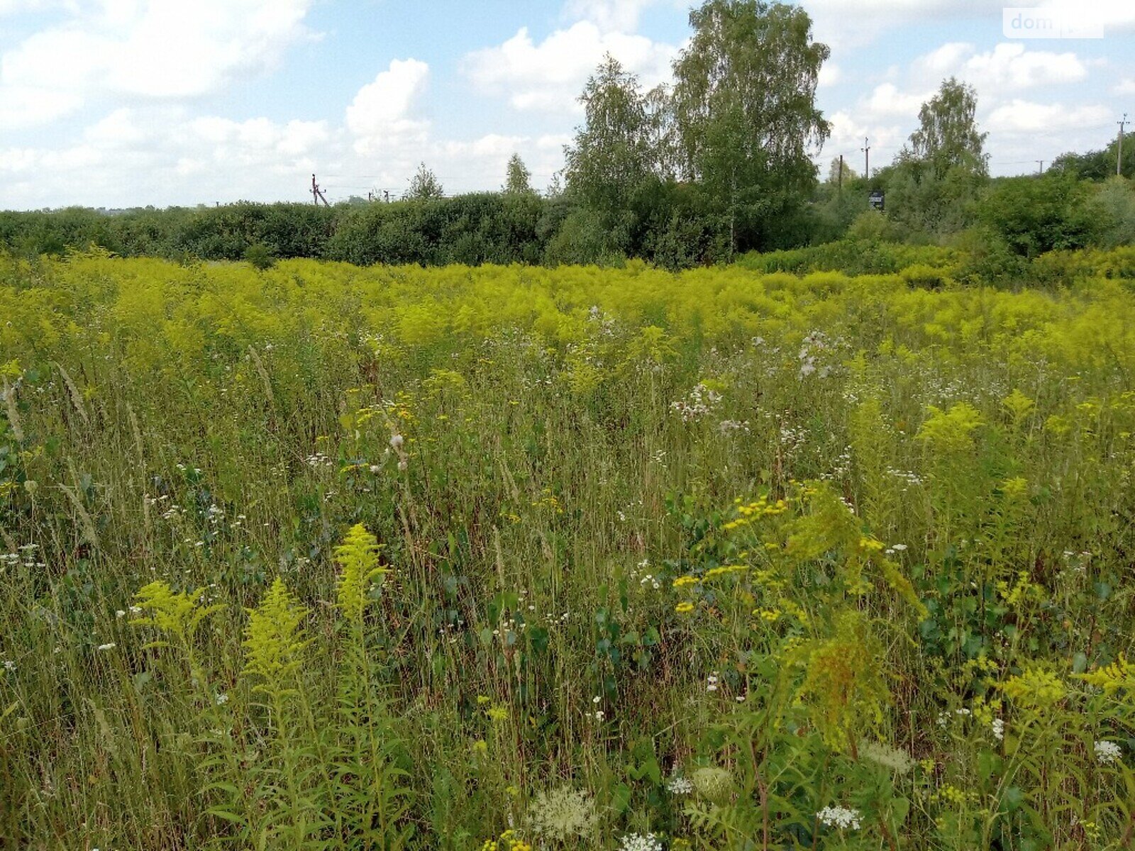 Земельный участок под жилую застройку в Сокольниках, площадь 8 соток фото 1