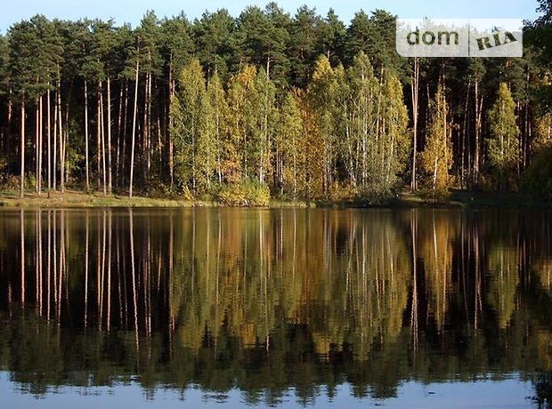 Продажа участка под жилую застройку, Житомирская, Радомышль, c. Белая Криница, Ленина ул. Продажа участка под жилую застройку, Житомирская, Радомышль, c. Белая Криница, Ленина ул.