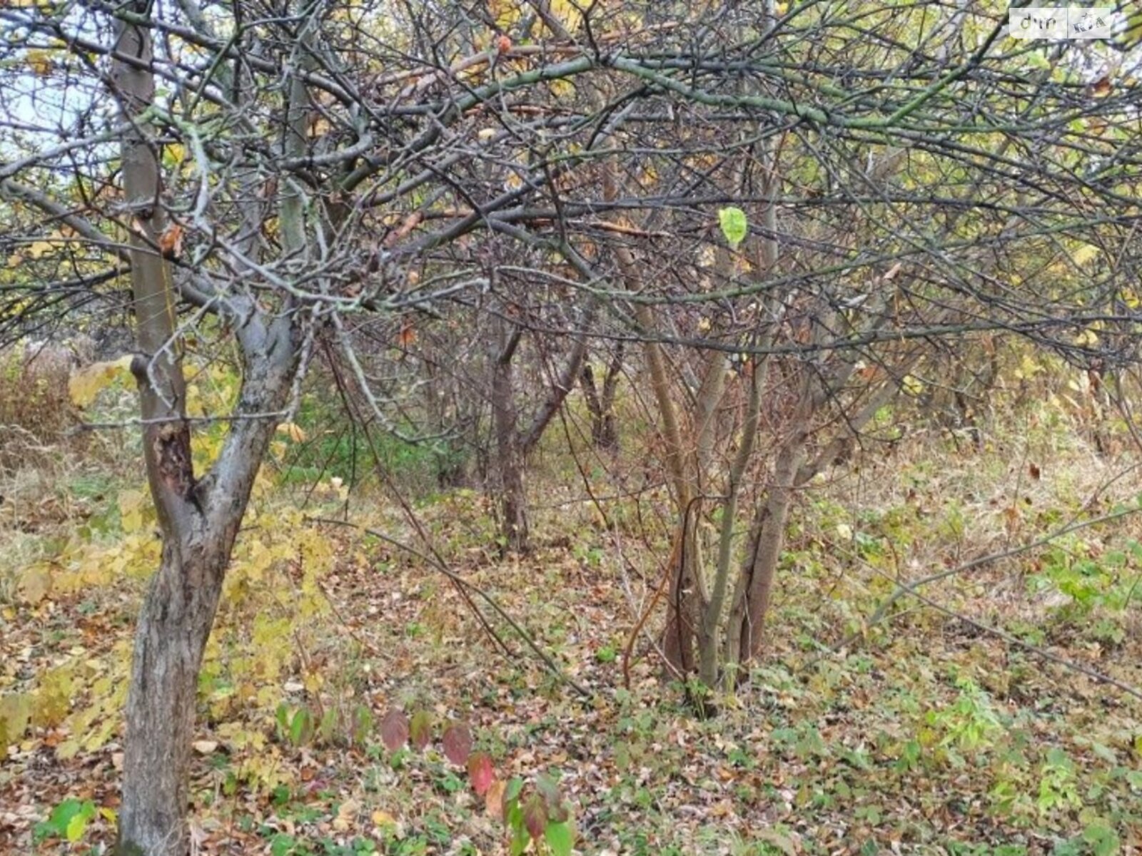 Земельна ділянка під житлову забудову в Раві-Руській, площа 14 соток фото 1