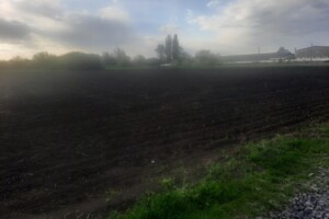 Земля під житлову забудову в Решетилівці, район Решетилівка, площа 15 соток фото 2