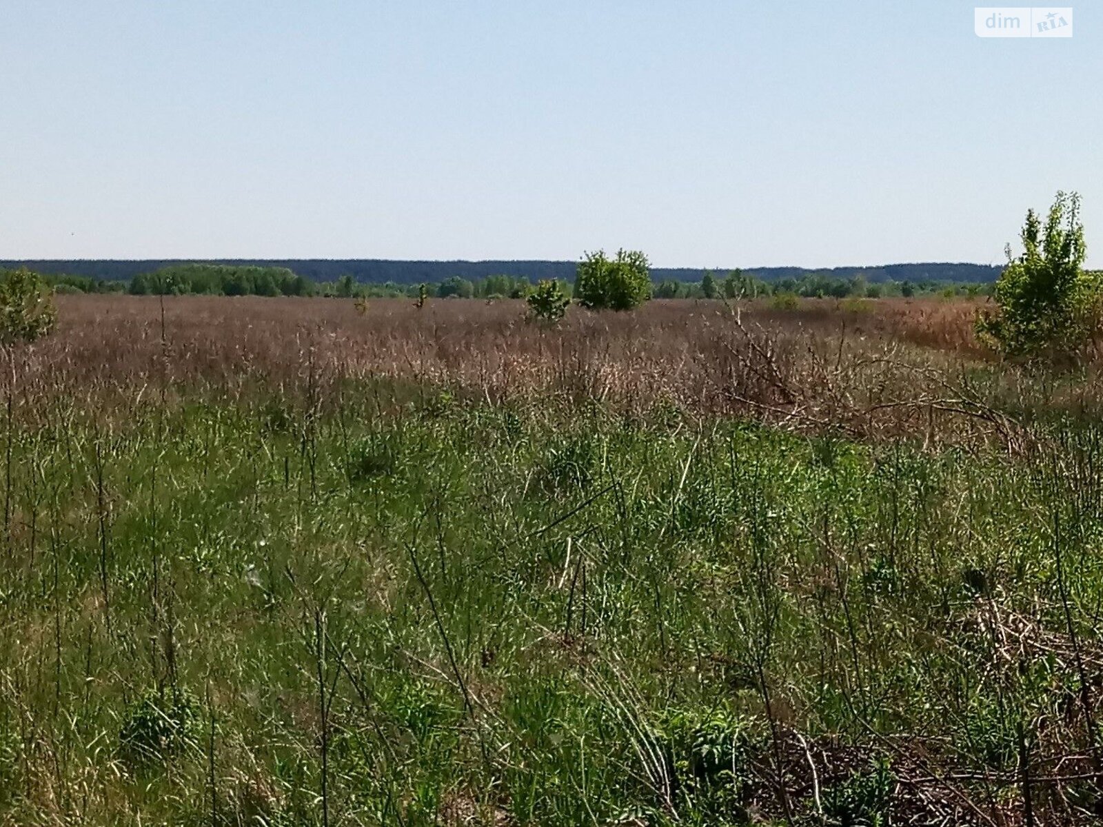 Земельный участок под жилую застройку в Рожнах, площадь 1.2 Га фото 1