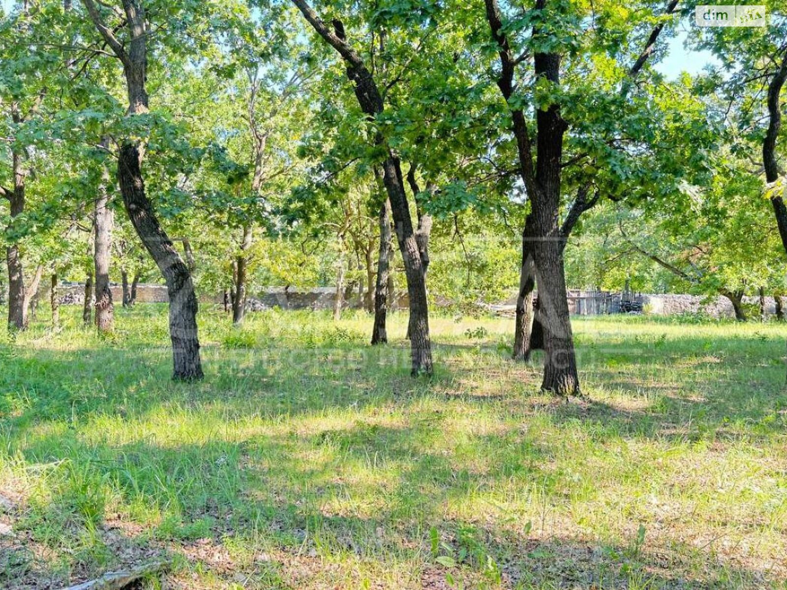 Земельный участок под жилую застройку в Романкове, площадь 200 соток фото 1 Земельный участок под жилую застройку в Романкове, площадь 200 соток фото 1