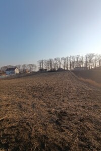 Земельна ділянка під житлову забудову в Романове село, площа 25 соток фото 2