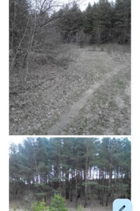 Земельный участок под жилую застройку в Рославичах, площадь 156.07 сотки фото 2