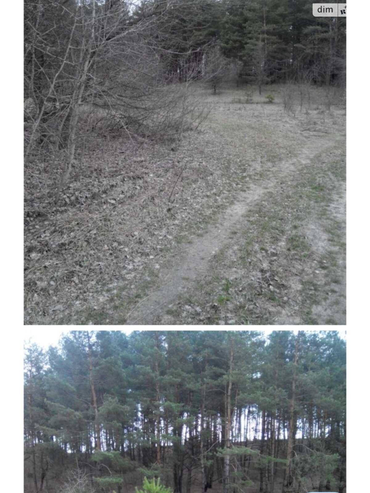 Земельный участок под жилую застройку в Рославичах, площадь 156.07 сотки фото 1 Земельный участок под жилую застройку в Рославичах, площадь 156.07 сотки фото 1