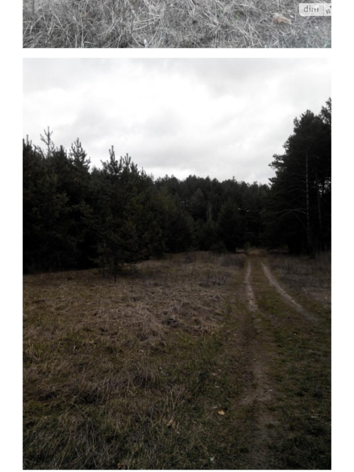 Земельный участок под жилую застройку в Рославичах, площадь 156.07 сотки фото 1 Земельный участок под жилую застройку в Рославичах, площадь 156.07 сотки фото 1