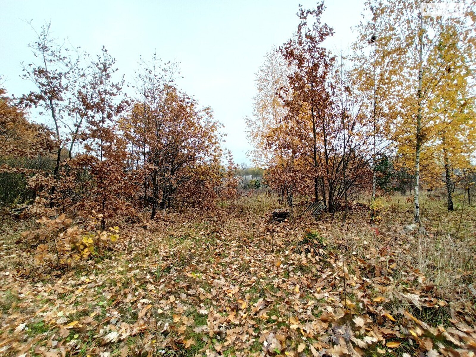 Земельна ділянка під житлову забудову в Ровці, площа 11.2 сотки фото 1