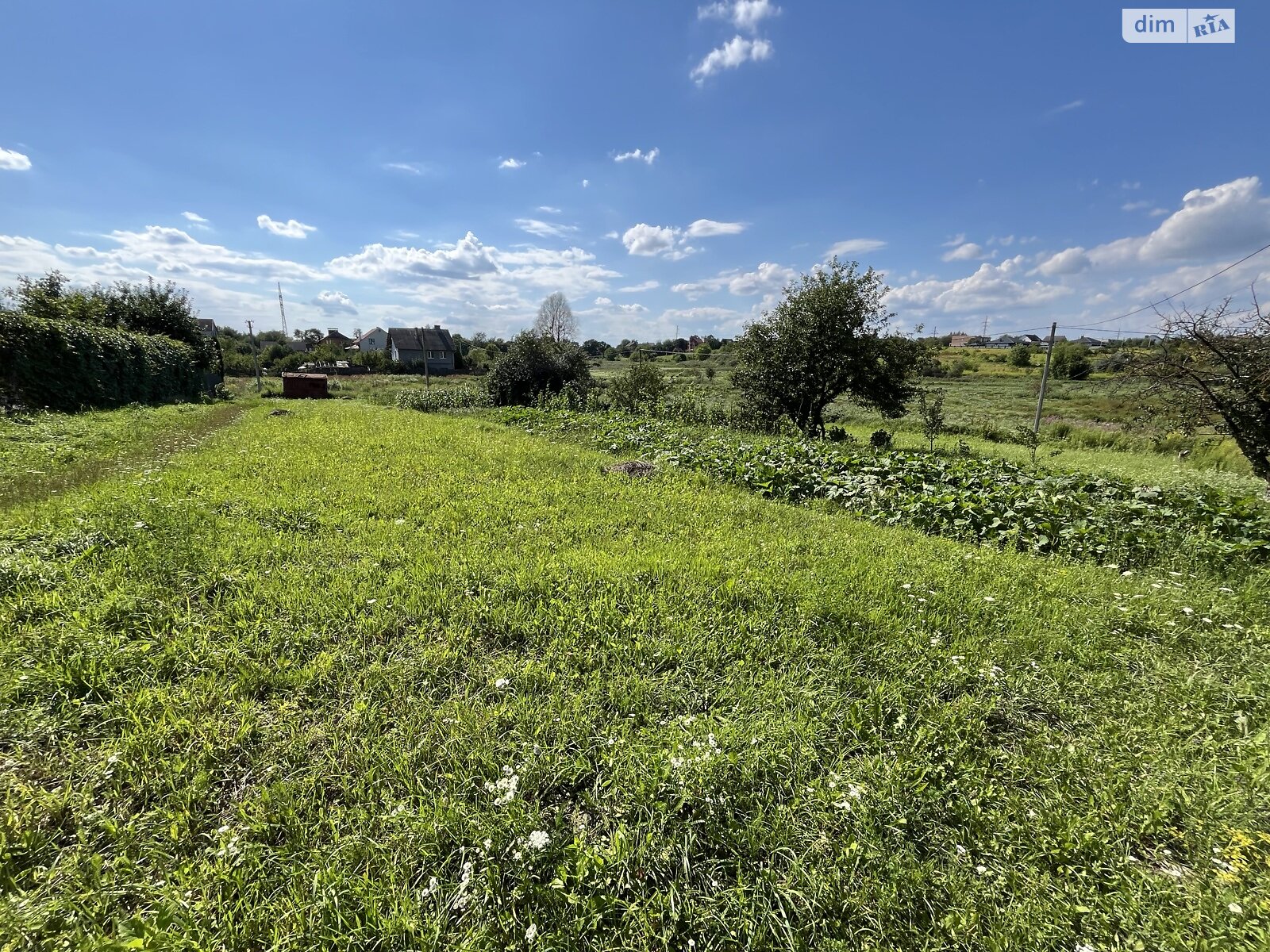 Земля под жилую застройку в Ровно, район Агропереробка, площадь 20 соток фото 1