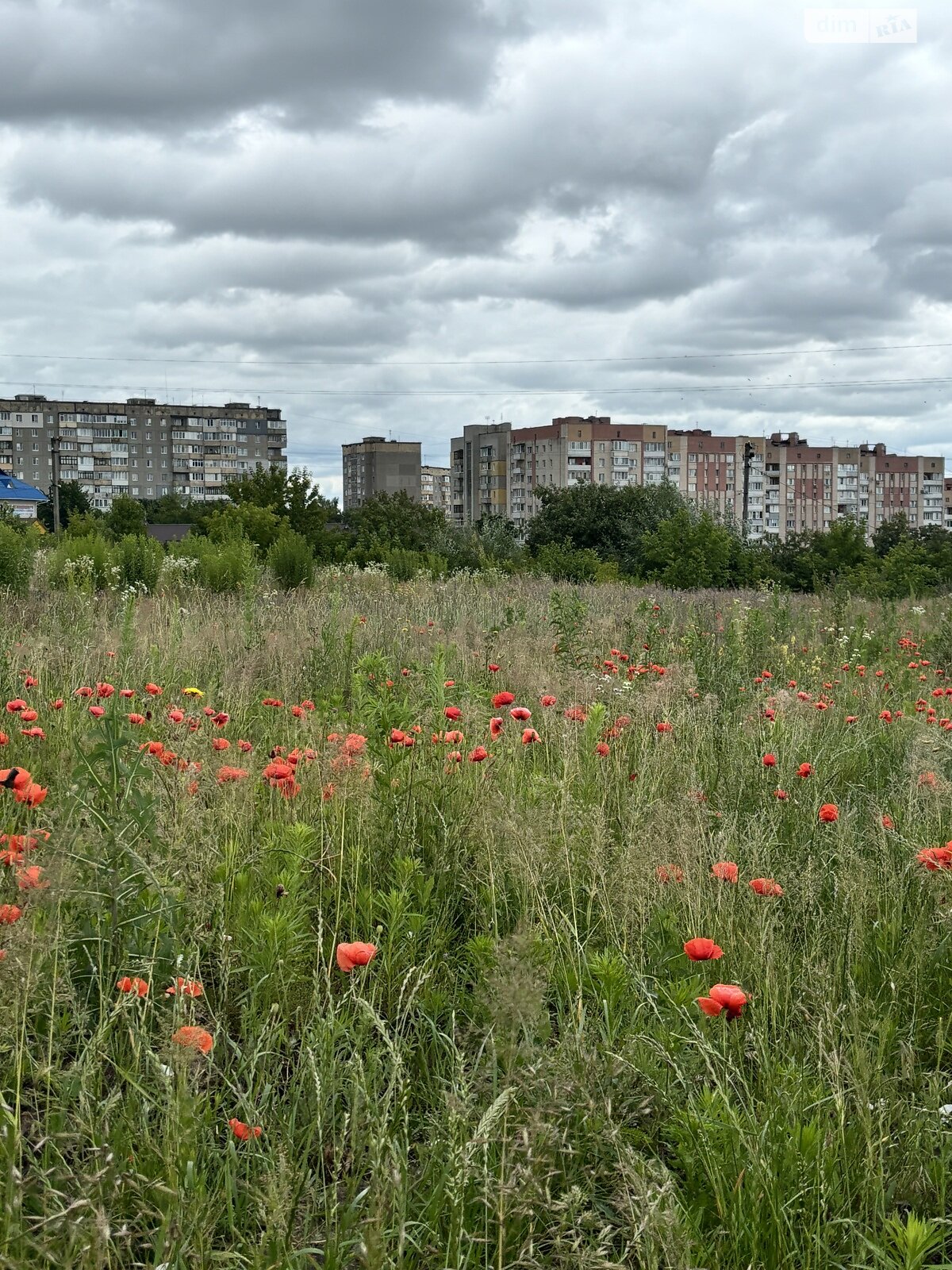 Земля под жилую застройку в Ровно, район Авторынок, площадь 10 соток фото 1