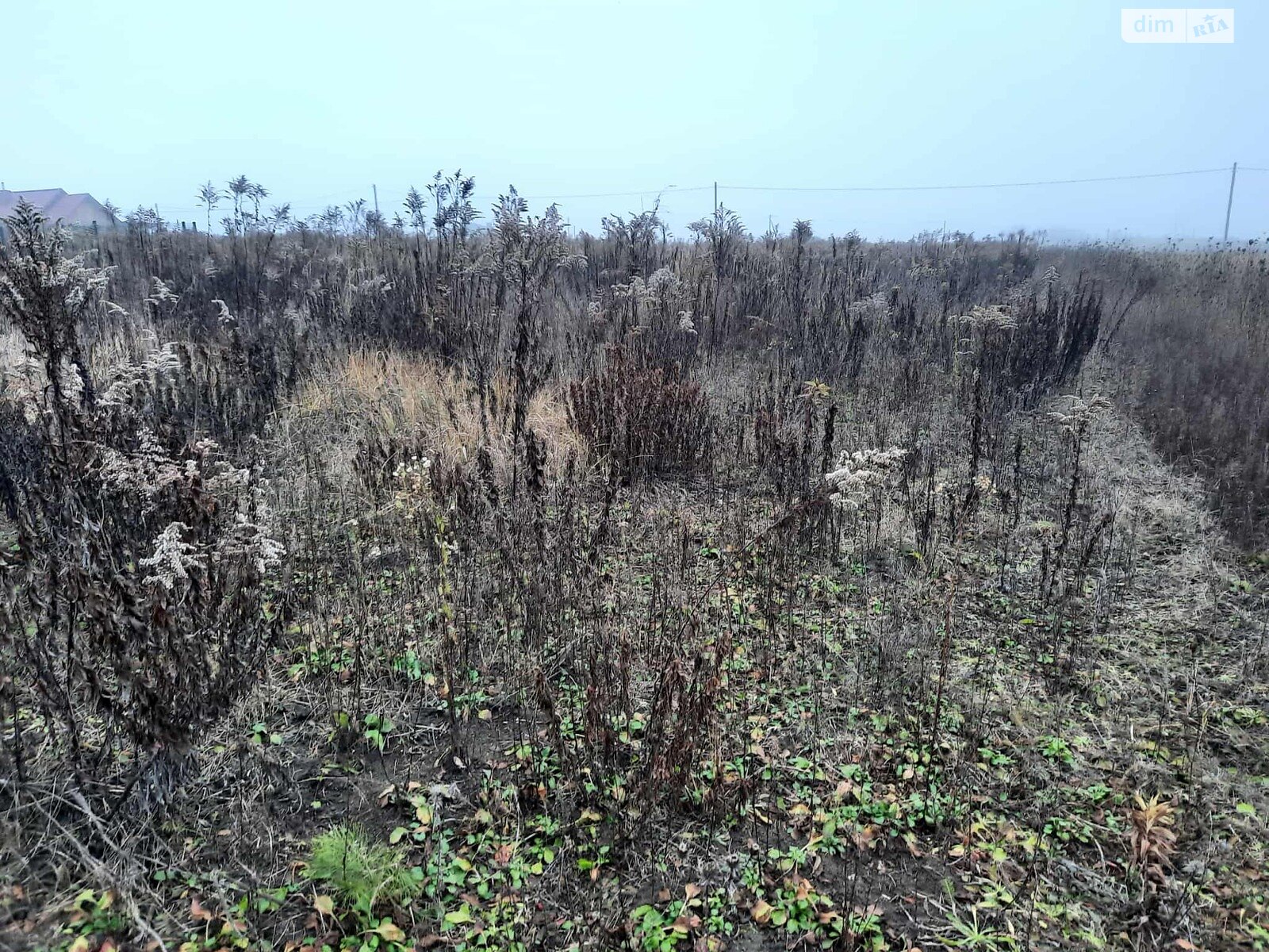 Земельна ділянка під житлову забудову в Понебелі, площа 8.5 сотки фото 1 Земельна ділянка під житлову забудову в Понебелі, площа 8.5 сотки фото 1