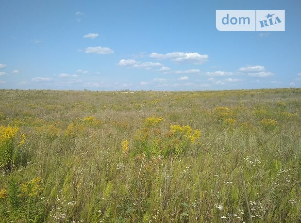 Земля под жилую застройку в селе Городище, площадь 10.24 сотки фото 1 Земля под жилую застройку в селе Городище, площадь 10.24 сотки фото 1