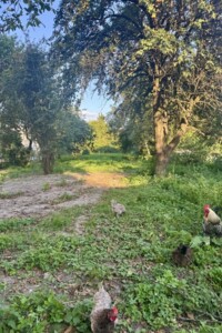 Земля под жилую застройку в Ровно, район Пивзавод, площадь 10.44 сотки фото 2