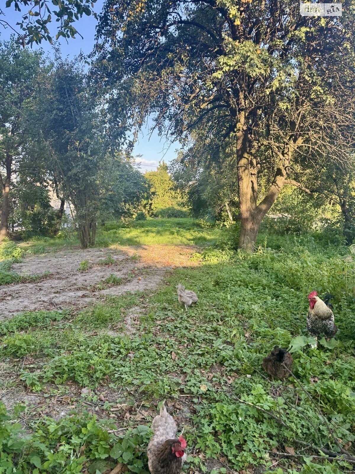 Земля под жилую застройку в Ровно, район Пивзавод, площадь 10.44 сотки фото 1