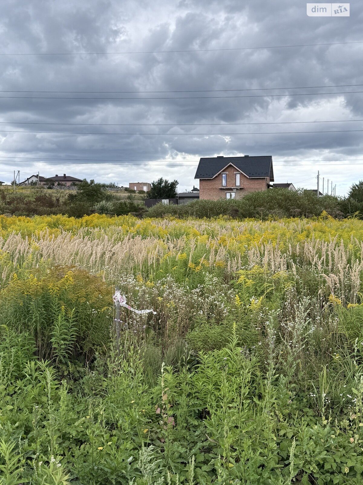 Земля под жилую застройку в Ровно, район Счастливое, площадь 11.46 сотки фото 1