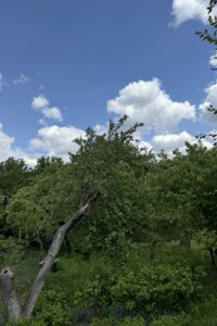 Земля під житлову забудову в Рівному, район Північний, площа 26 соток фото 2