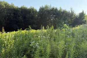 Земельный участок под жилую застройку в Рудковцах, площадь 10 соток фото 2 Земельный участок под жилую застройку в Рудковцах, площадь 10 соток фото 2