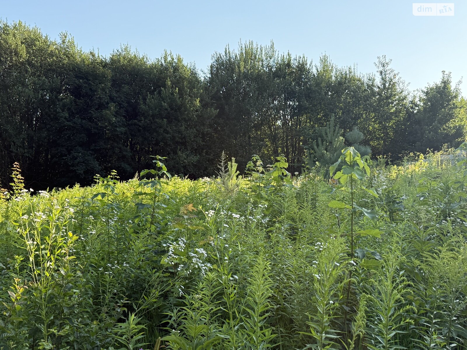 Земельный участок под жилую застройку в Рудковцах, площадь 10 соток фото 1 Земельный участок под жилую застройку в Рудковцах, площадь 10 соток фото 1