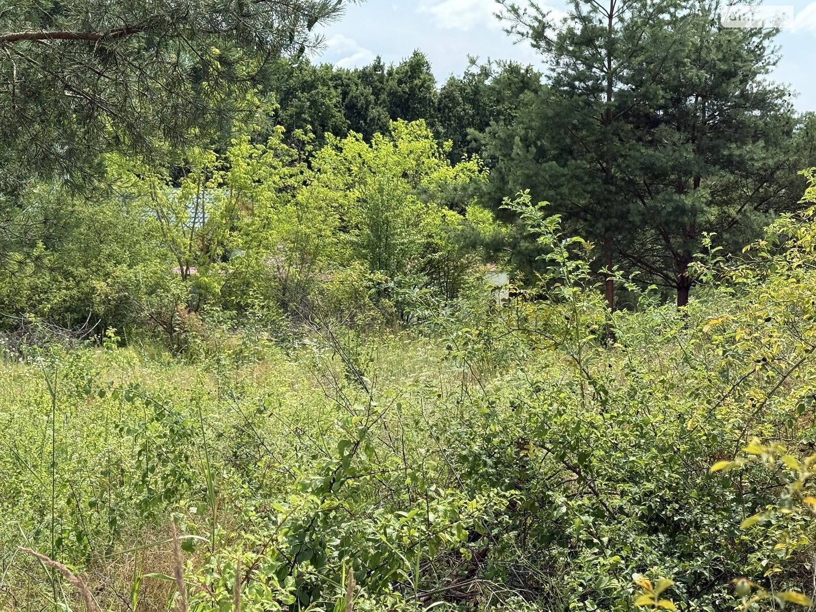 Земельный участок под жилую застройку в Рудковцах, площадь 10 соток фото 1 Земельный участок под жилую застройку в Рудковцах, площадь 10 соток фото 1