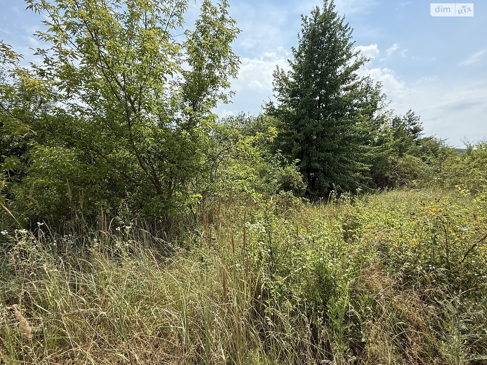 Земельный участок под жилую застройку в Рудковцах, площадь 10 соток фото 1 Земельный участок под жилую застройку в Рудковцах, площадь 10 соток фото 1
