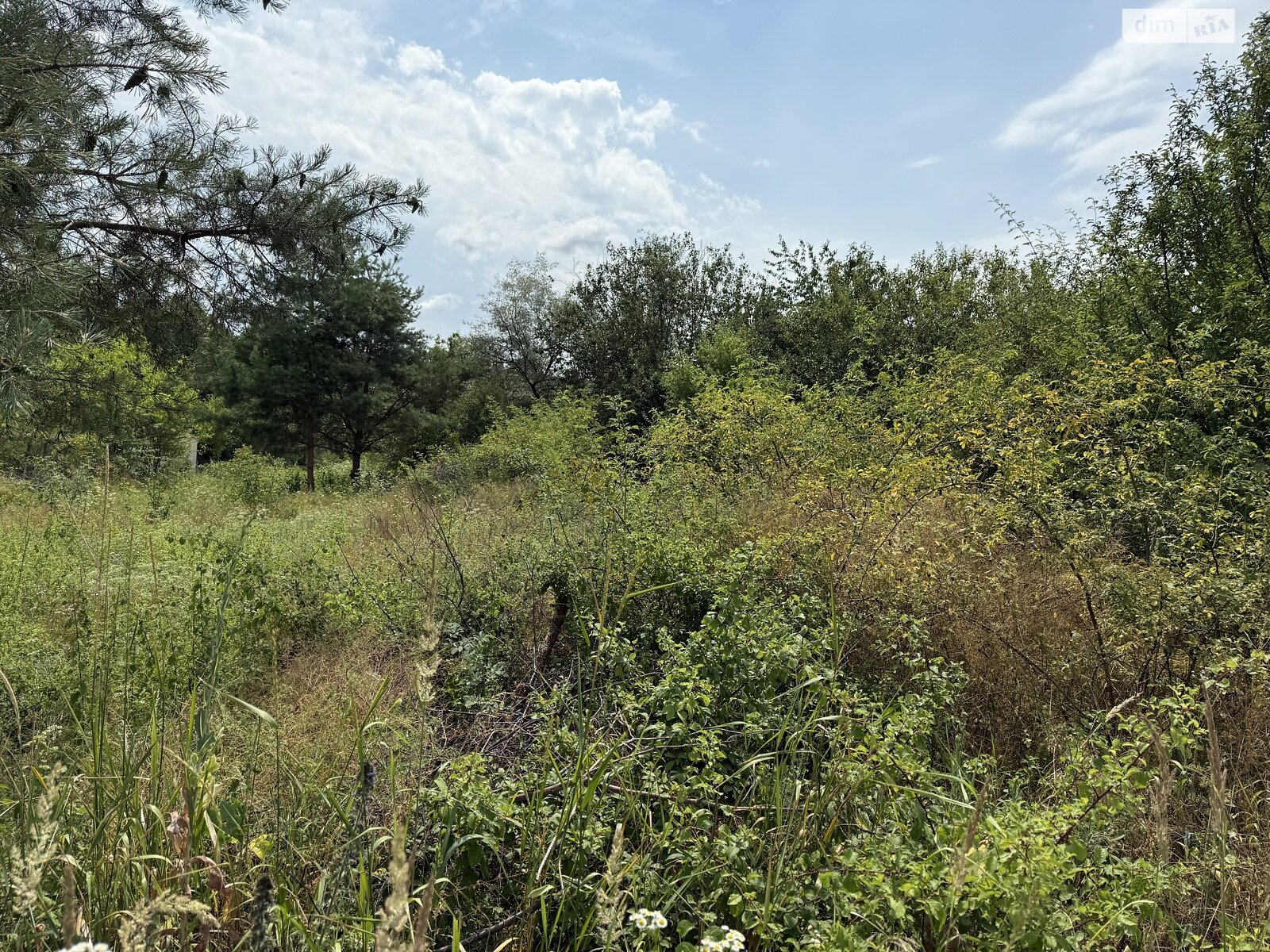 Земельный участок под жилую застройку в Рудковцах, площадь 10 соток фото 1 Земельный участок под жилую застройку в Рудковцах, площадь 10 соток фото 1