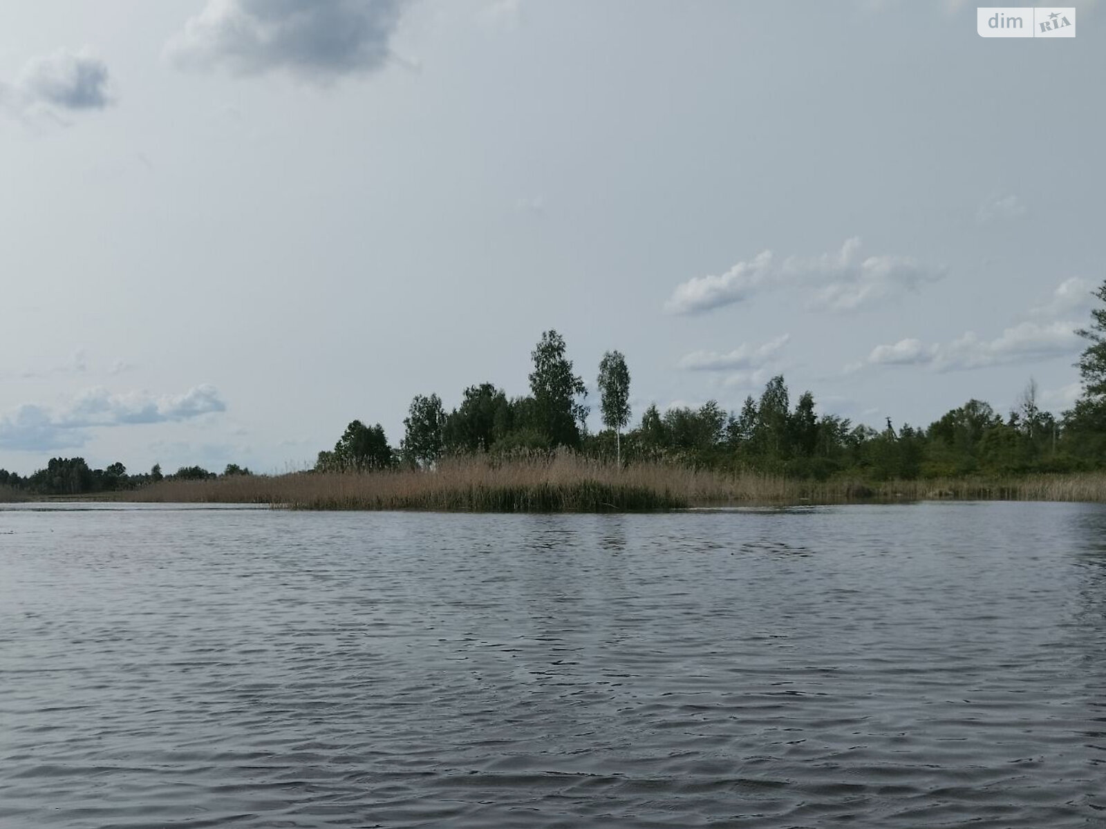 Земельна ділянка під житлову забудову в Рудні-Пошті, площа 50 соток фото 1 Земельна ділянка під житлову забудову в Рудні-Пошті, площа 50 соток фото 1