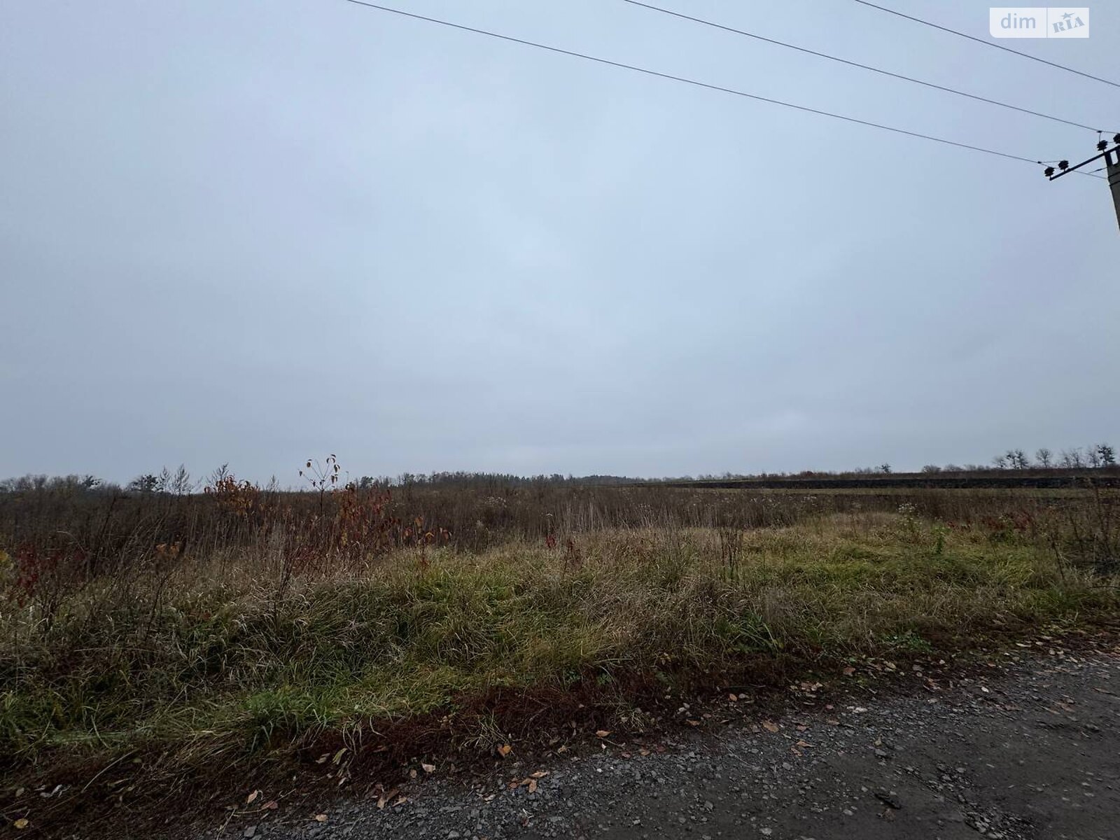 Земельный участок под жилую застройку в Ружичанке, площадь 25 соток фото 1 Земельный участок под жилую застройку в Ружичанке, площадь 25 соток фото 1