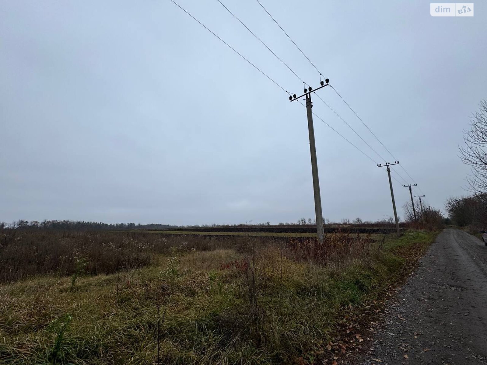 Земельный участок под жилую застройку в Ружичанке, площадь 25 соток фото 1 Земельный участок под жилую застройку в Ружичанке, площадь 25 соток фото 1