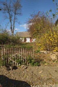 Земельный участок под жилую застройку в Ружичанке, площадь 25 соток фото 2 Земельный участок под жилую застройку в Ружичанке, площадь 25 соток фото 2