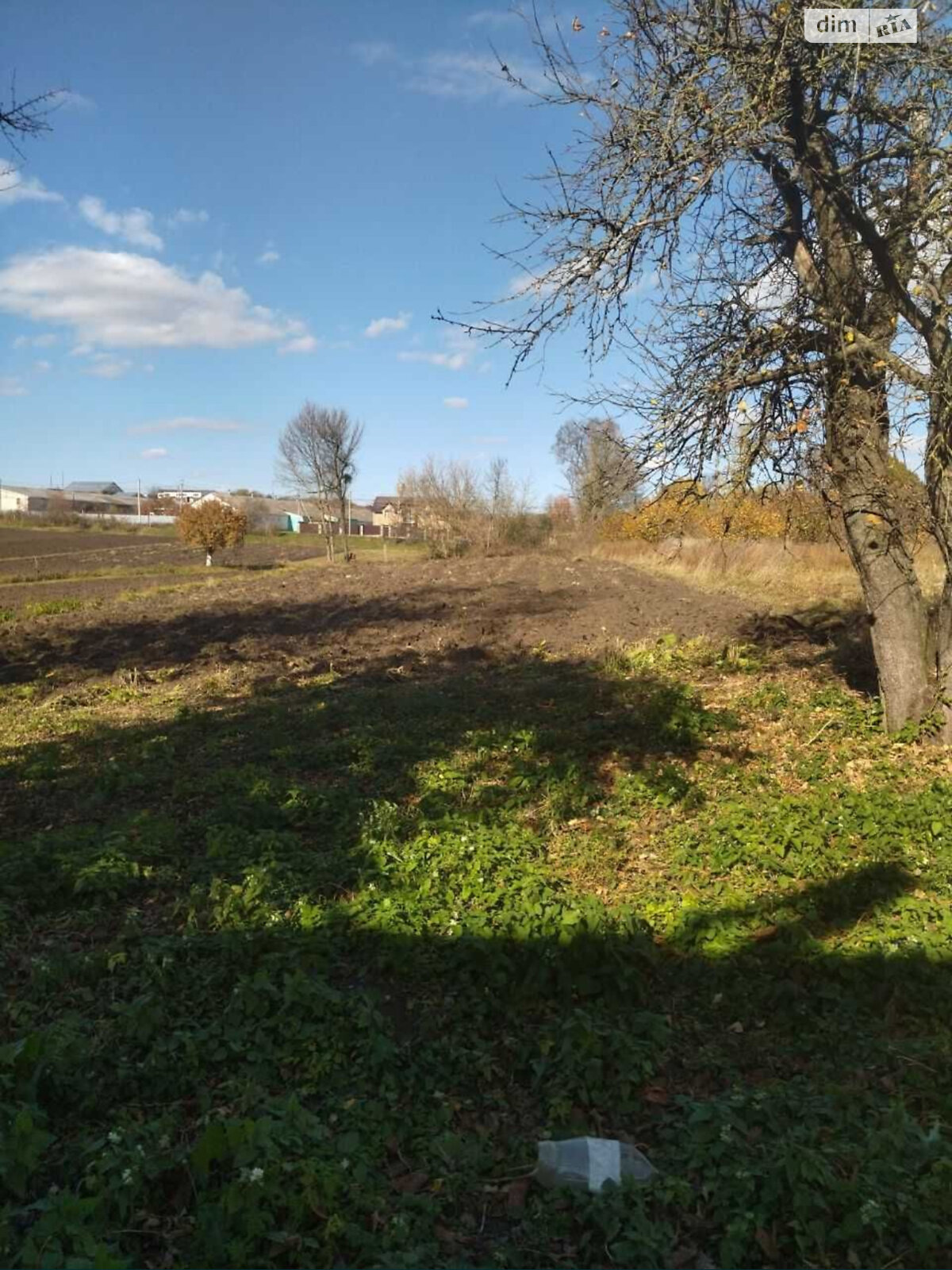 Земельный участок под жилую застройку в Ружичанке, площадь 25 соток фото 1 Земельный участок под жилую застройку в Ружичанке, площадь 25 соток фото 1