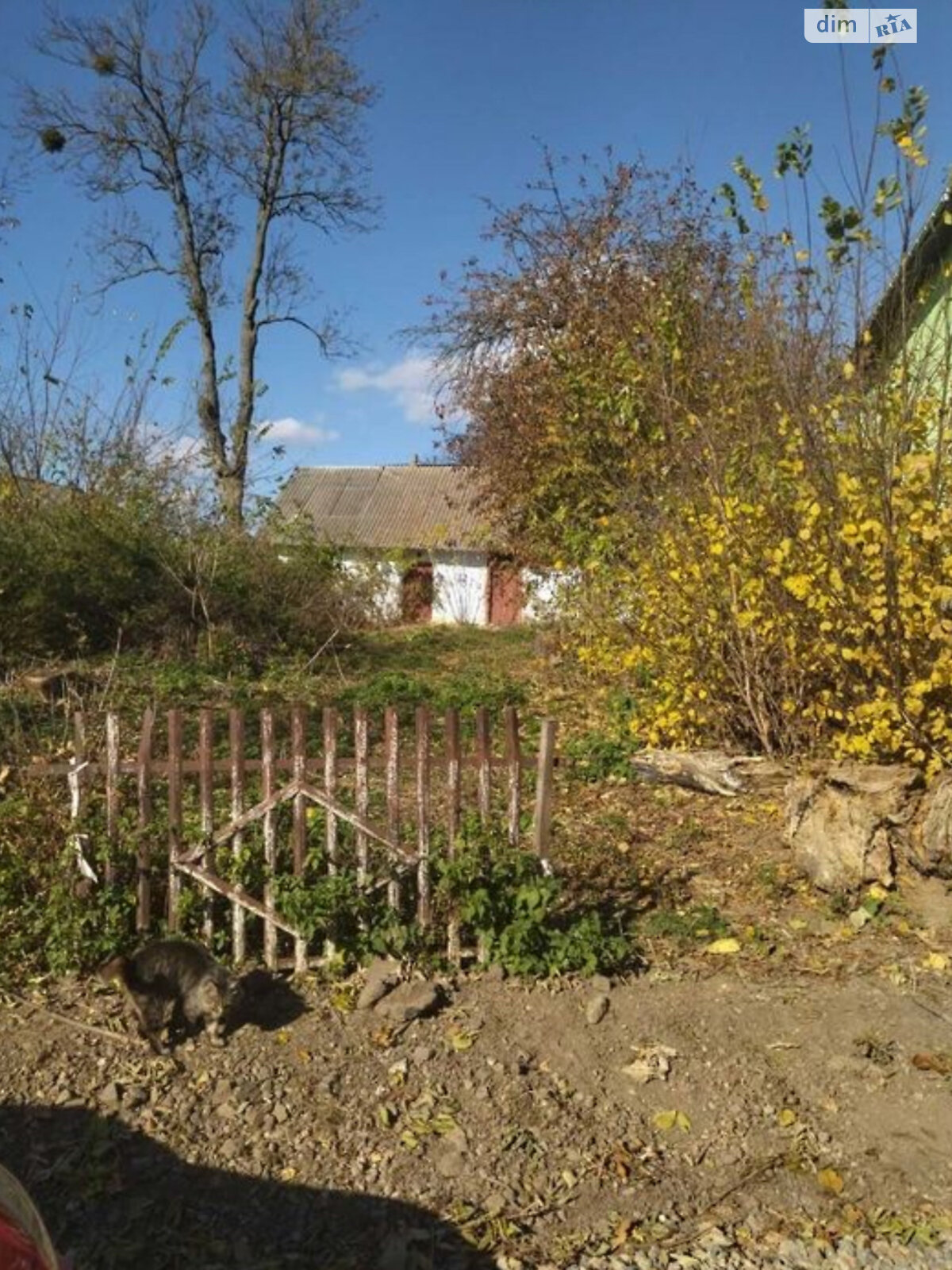 Земельный участок под жилую застройку в Ружичанке, площадь 25 соток фото 1 Земельный участок под жилую застройку в Ружичанке, площадь 25 соток фото 1