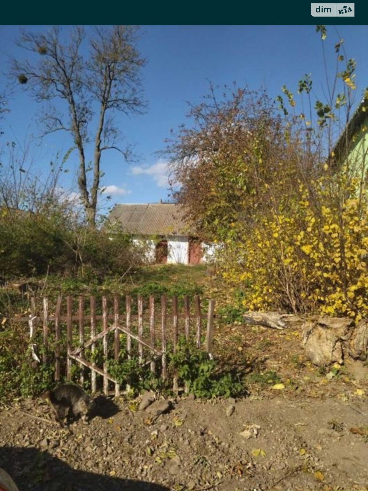 Земельный участок под жилую застройку в Ружичанке, площадь 25 соток фото 1 Земельный участок под жилую застройку в Ружичанке, площадь 25 соток фото 1