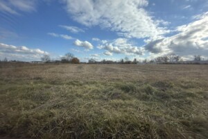 Земельный участок под жилую застройку в Ружичанке, площадь 25 соток фото 2 Земельный участок под жилую застройку в Ружичанке, площадь 25 соток фото 2