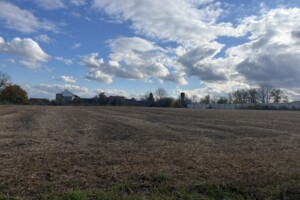 Земельна ділянка під житлову забудову в Ружичанці, площа 25 соток фото 2