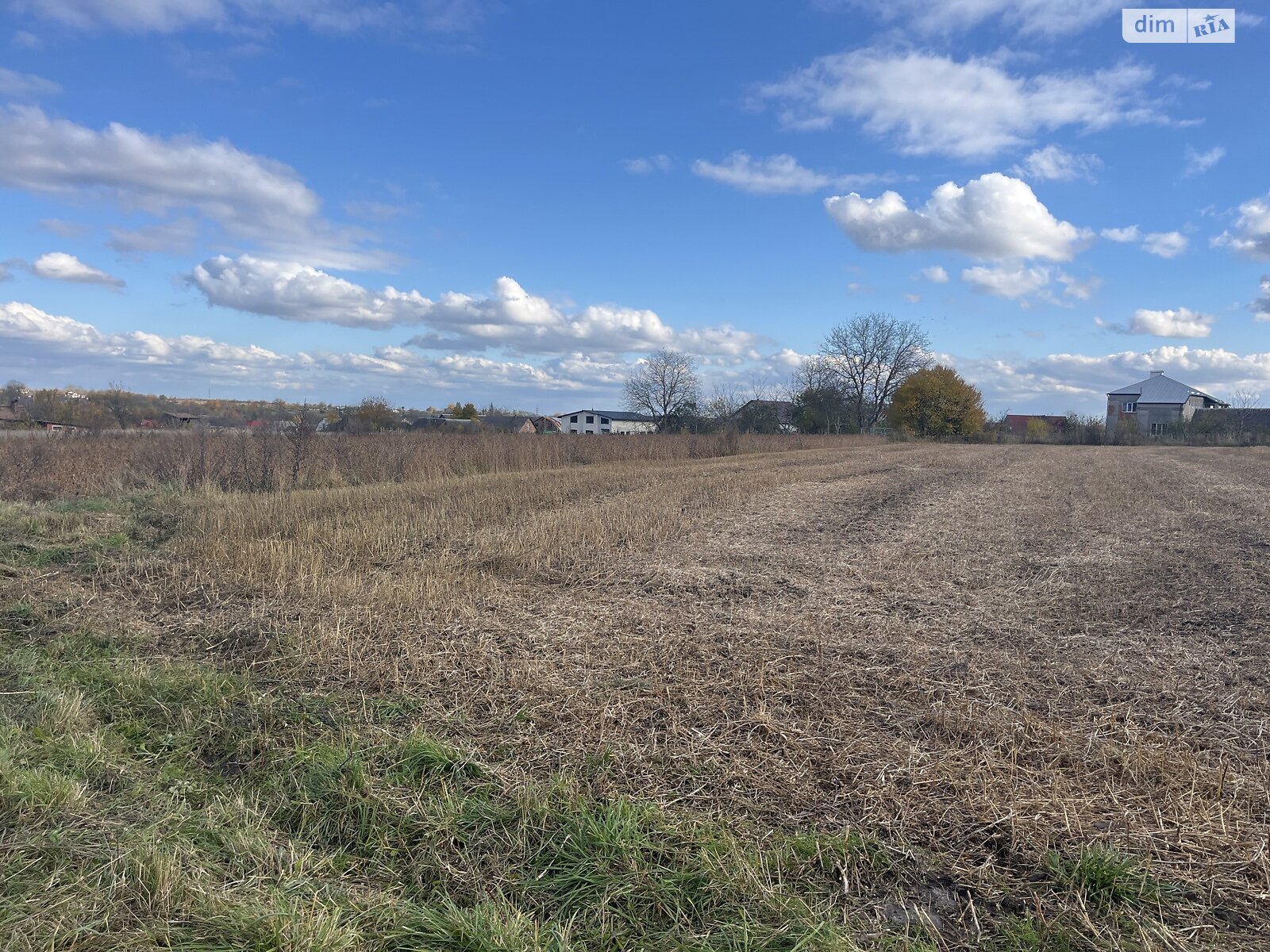 Земельна ділянка під житлову забудову в Ружичанці, площа 25 соток фото 1