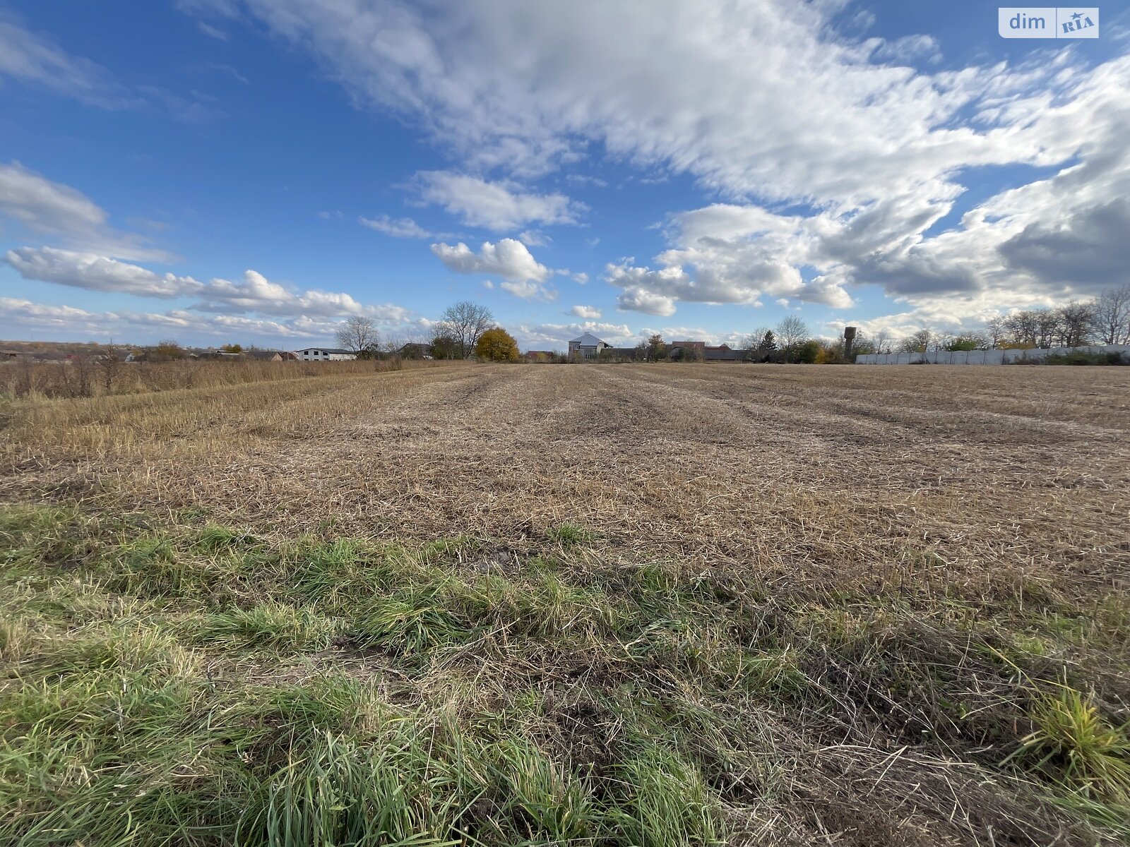 Земельна ділянка під житлову забудову в Ружичанці, площа 25 соток фото 1