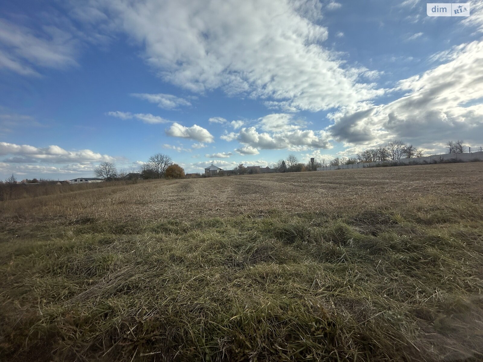 Земельный участок под жилую застройку в Ружичанке, площадь 25 соток фото 1 Земельный участок под жилую застройку в Ружичанке, площадь 25 соток фото 1