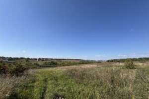 Земельна ділянка під житлову забудову в Ружичанці, площа 25 соток фото 2