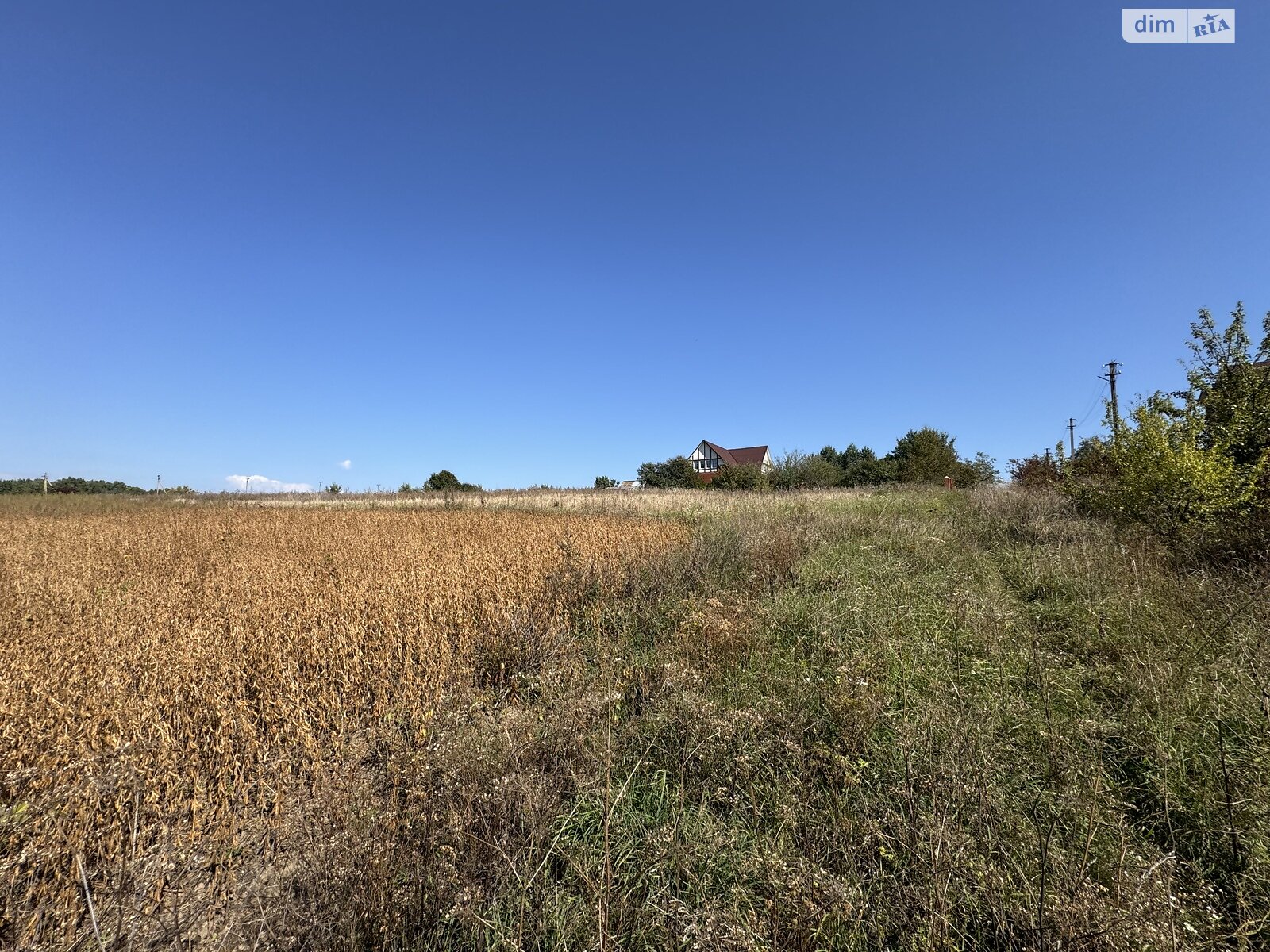 Земельна ділянка під житлову забудову в Ружичанці, площа 25 соток фото 1 Земельна ділянка під житлову забудову в Ружичанці, площа 25 соток фото 1