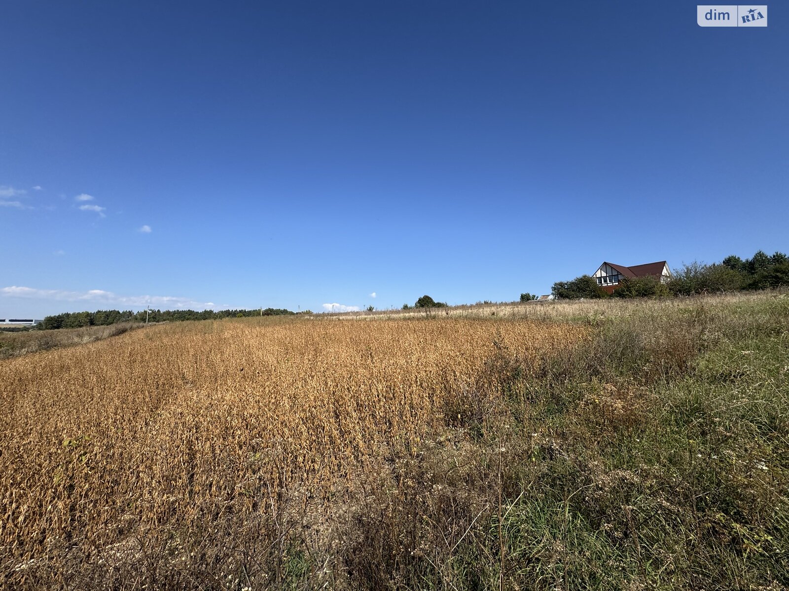 Земельна ділянка під житлову забудову в Ружичанці, площа 25 соток фото 1 Земельна ділянка під житлову забудову в Ружичанці, площа 25 соток фото 1