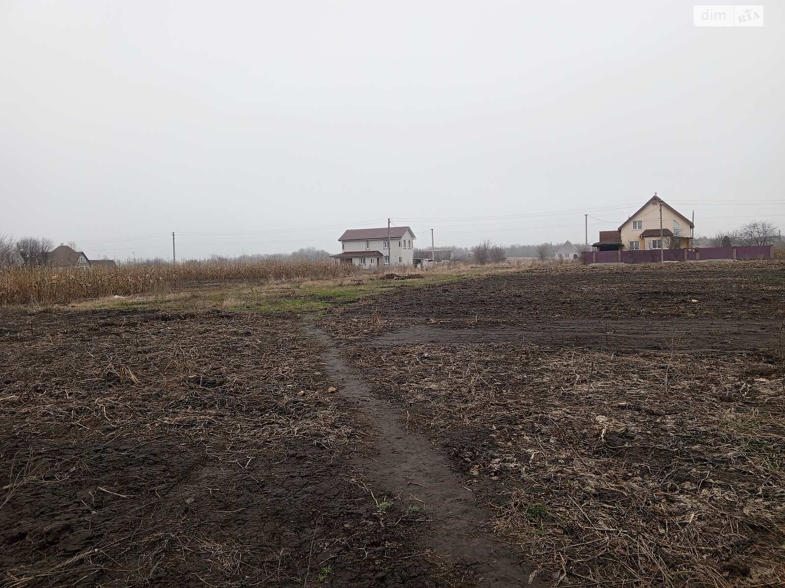 Земельна ділянка під житлову забудову в Руській Поляні, площа 72 сотки фото 1