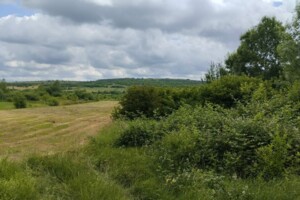 Земельна ділянка під житлову забудову в Руських Комарівцях, площа 25 соток фото 2