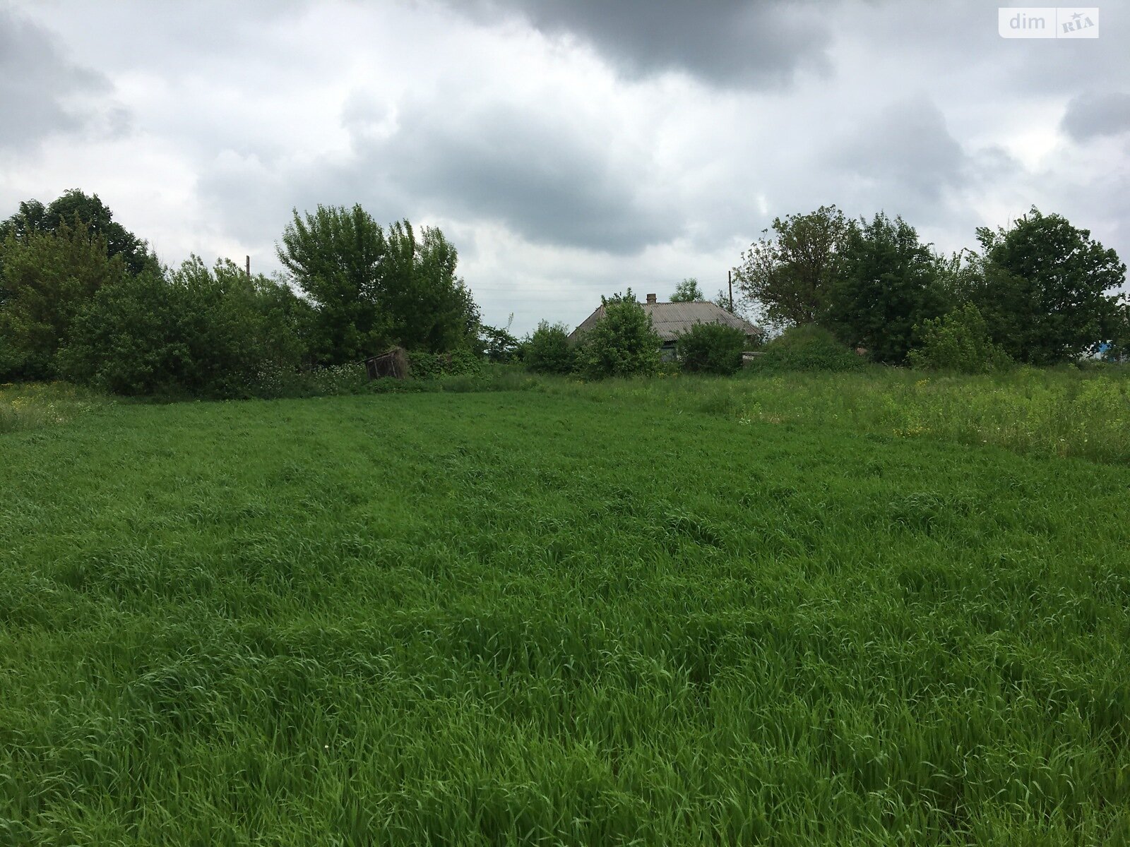 Земельный участок под жилую застройку в Сальнике, площадь 33.86 сотки фото 1 Земельный участок под жилую застройку в Сальнике, площадь 33.86 сотки фото 1