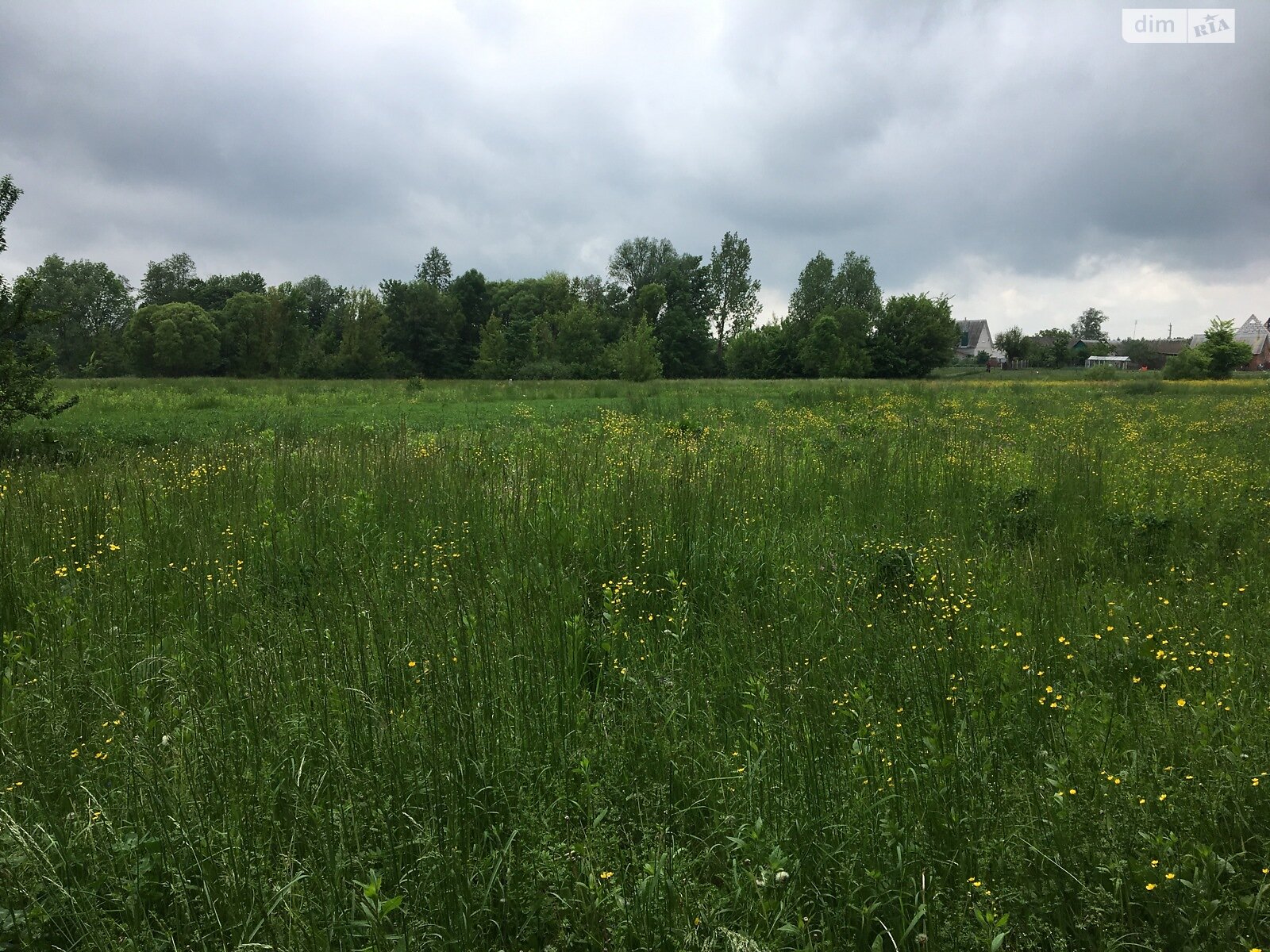 Земельный участок под жилую застройку в Сальнике, площадь 33.86 сотки фото 1 Земельный участок под жилую застройку в Сальнике, площадь 33.86 сотки фото 1